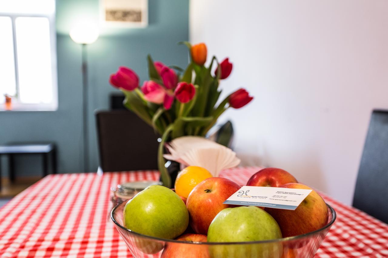 Homely Apartment'S Old Town 크라쿠프 외부 사진