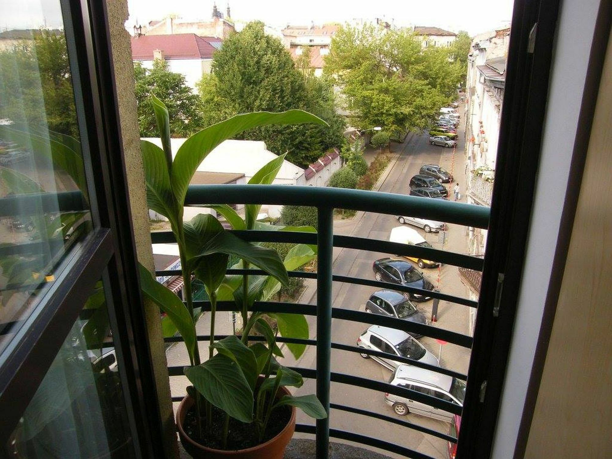 Homely Apartment'S Old Town 크라쿠프 외부 사진